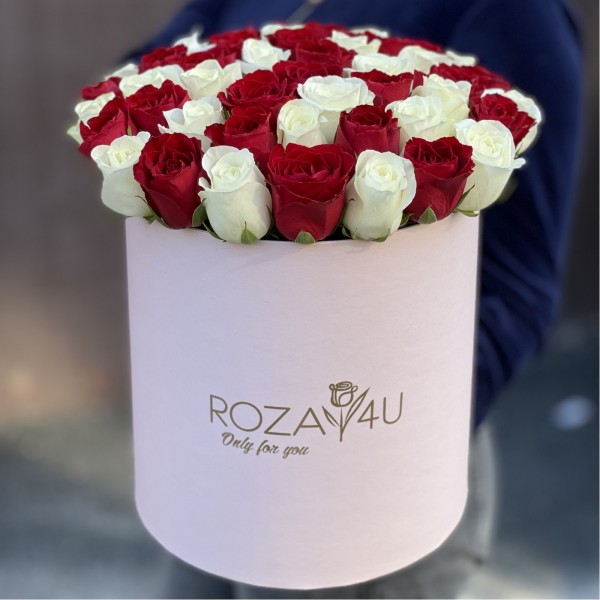 51 роза красно-белый микс коробке